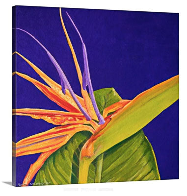 A painting, by fine artist Nancy McLennon, of a bright orange and purple 'Bird of paradise' bloom, surrounded by a deep, dark solid purple background