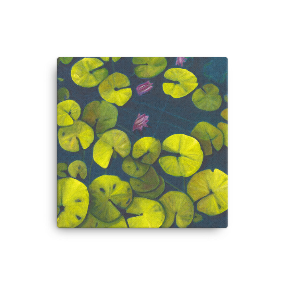 Canvas Print - Waterlilies