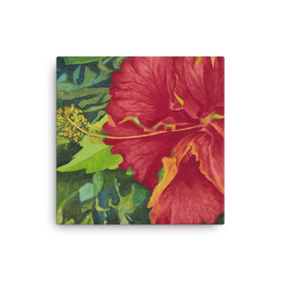 Canvas Art Print - Deep red hibiscus