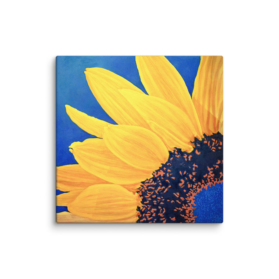 Canvas Art Print - Large single Sunflower on blue