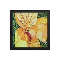 Framed Print - Yellow Alstroemeria