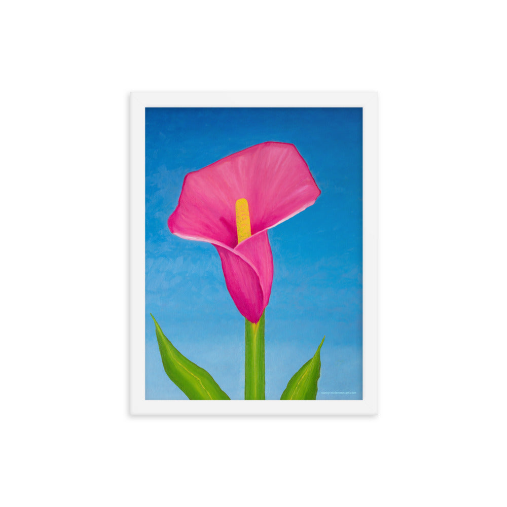 Framed Print - Rosy Pink Lily on blue