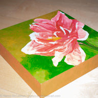 a painting by fine artist Nancy McLennon of a pink amaryllis nagano on a green background flatview
