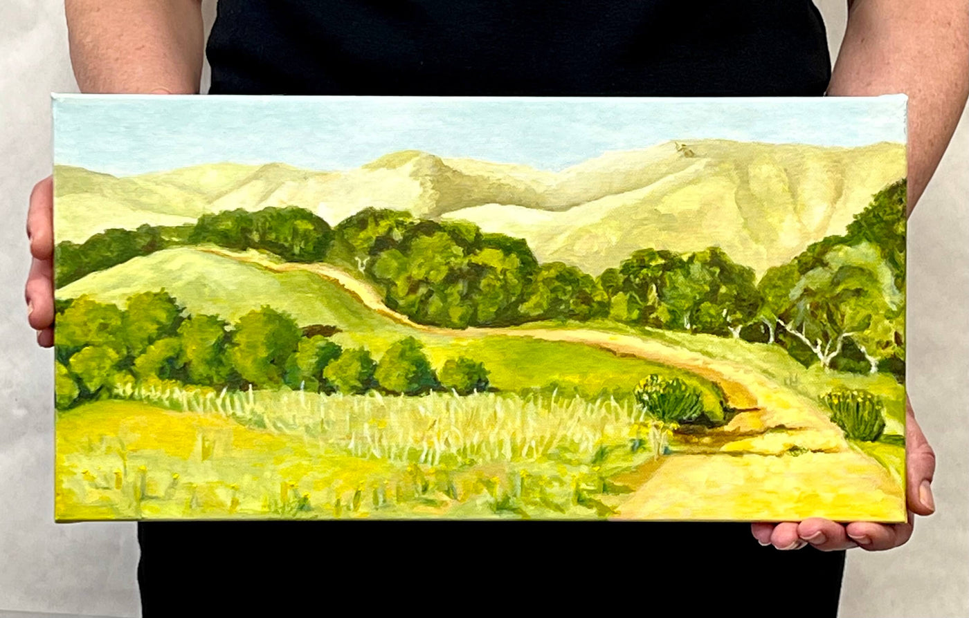 Original - Lucas Valley, CA trail in fall - 8"H x 16"w x 5/8"D