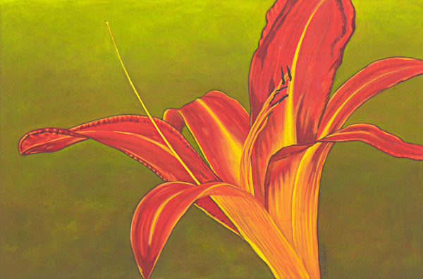 oil painting spider plant Original - Ruby Spider Daylily