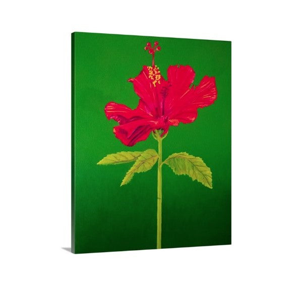 A side view of a painting by fine artist Nancy McLennon, of a single Tall Hibiscus Rosa-Sinensis on green background