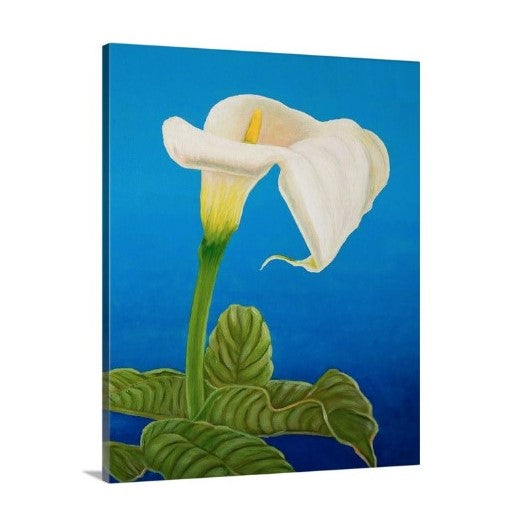 A side view of a painting by fine artist Nancy McLennon, of a single White calla lily on blue background