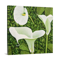 Original - Creamy white calla lilies - 12"H x 12"W x 5/8"D