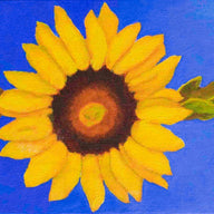 a painting by fine artist Nancy McLennon of a single yellow sunflower on an ultramarine background