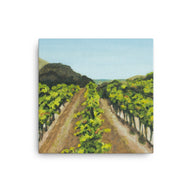 Canvas Art Print - Napa Valley vineyard before harvest 2