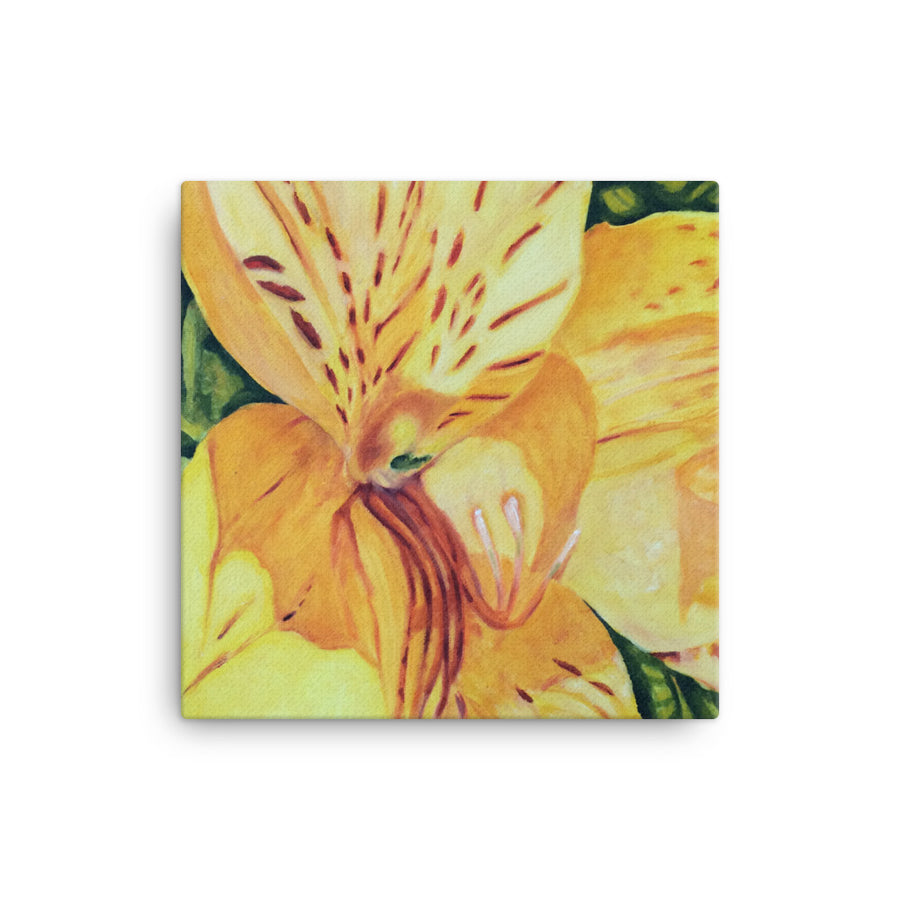 Canvas Print - Yellow Alstroemeria Lily