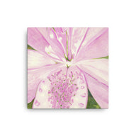 Canvas Art Print - Light pink Lily