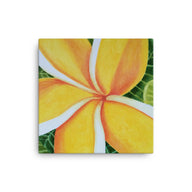 Canvas Art Print - Plumeria floral