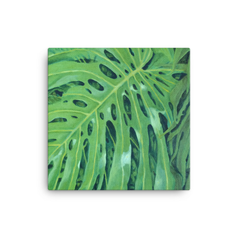 Canvas Art Print - Monstera leaf in vivid green