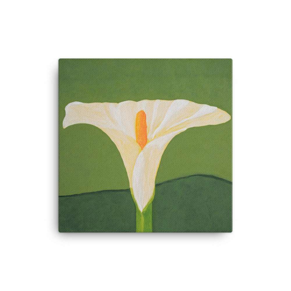 Canvas Print - White Calla lily on green