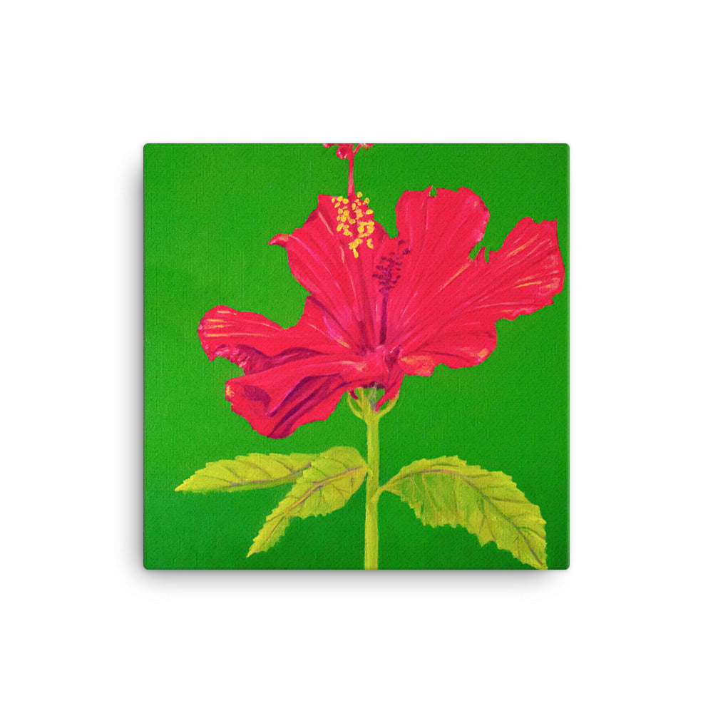 Canvas Art Print - Tall Hibiscus Rosa-sinensis