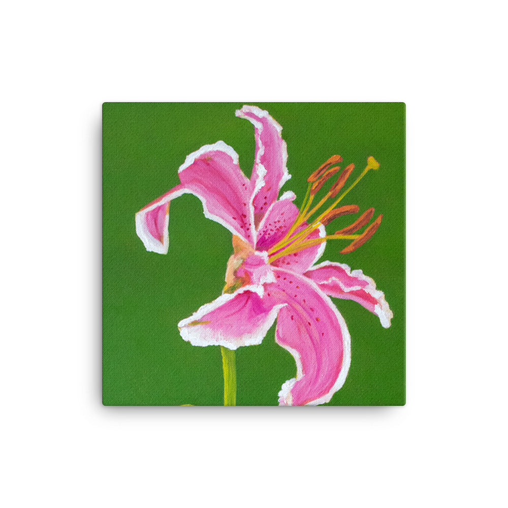 Canvas Art Print - Stargazer Lily 2