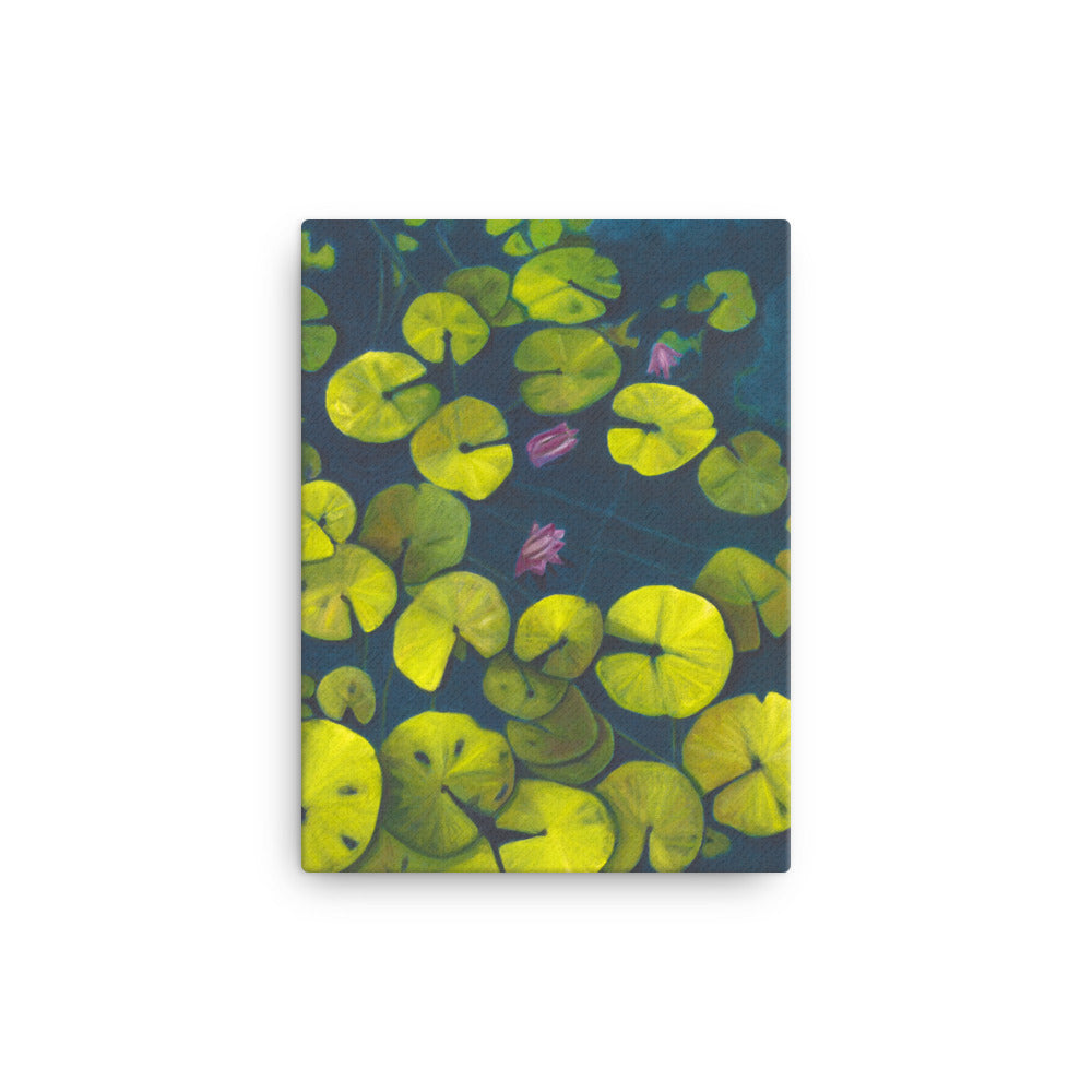 Canvas Print - Waterlilies