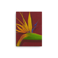 Canvas Art Print - Bird of Paradise on dark red