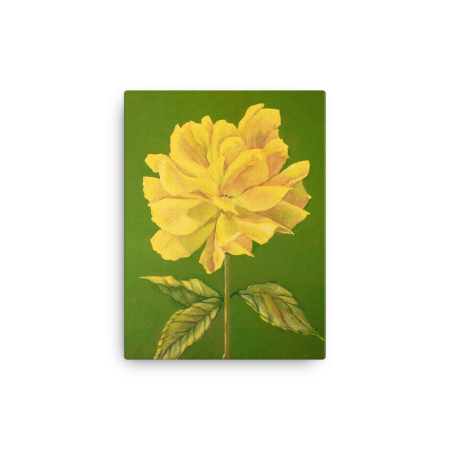 Canvas Print - Yellow Rose
