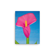 Canvas Art Print - Rosy Pink lily on blue