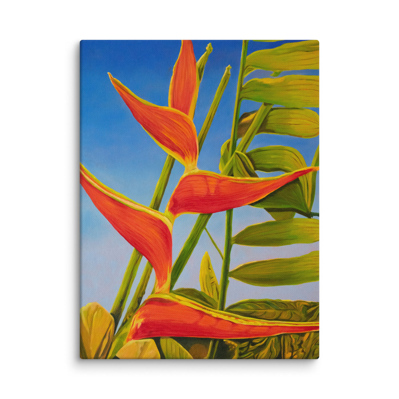 Canvas Art Print - Large Heliconia bloom in sunlight