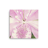Canvas Art Print - Light pink Lily