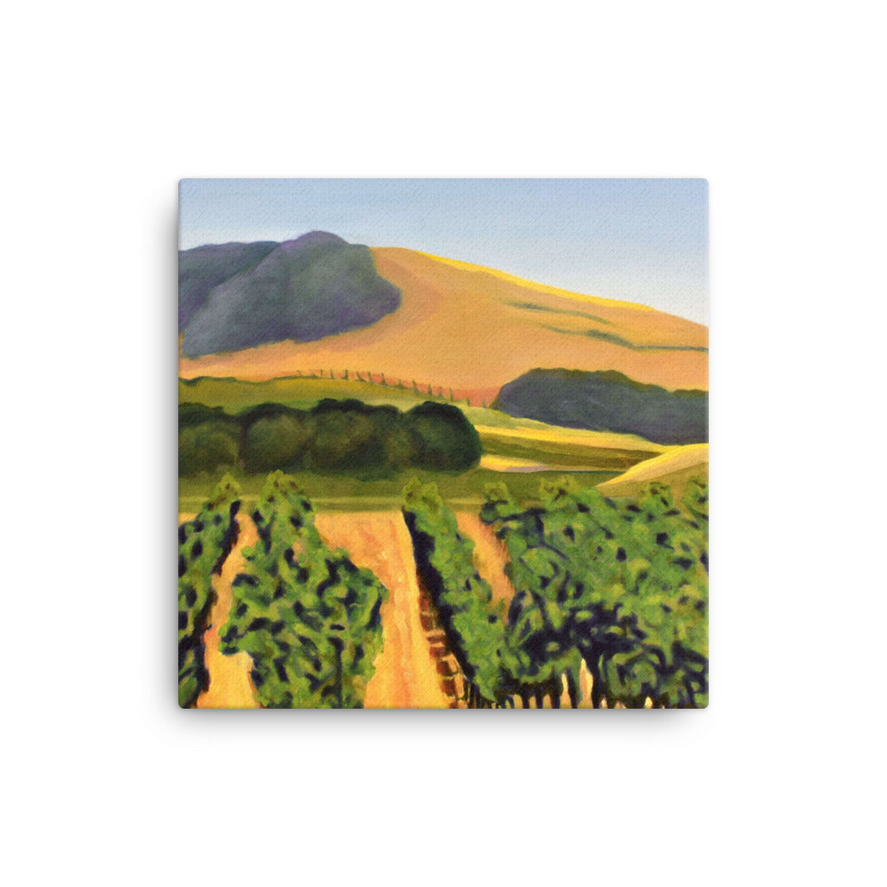 Canvas Art Print - Lush purple vineyards in golden hills