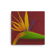 Canvas Art Print - Bird of Paradise on dark red