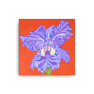 Canvas Art Print - Iris explosion on red