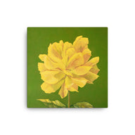 Canvas Print - Yellow Rose