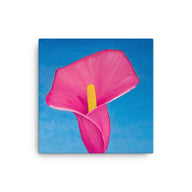 Canvas Art Print - Rosy Pink lily on blue