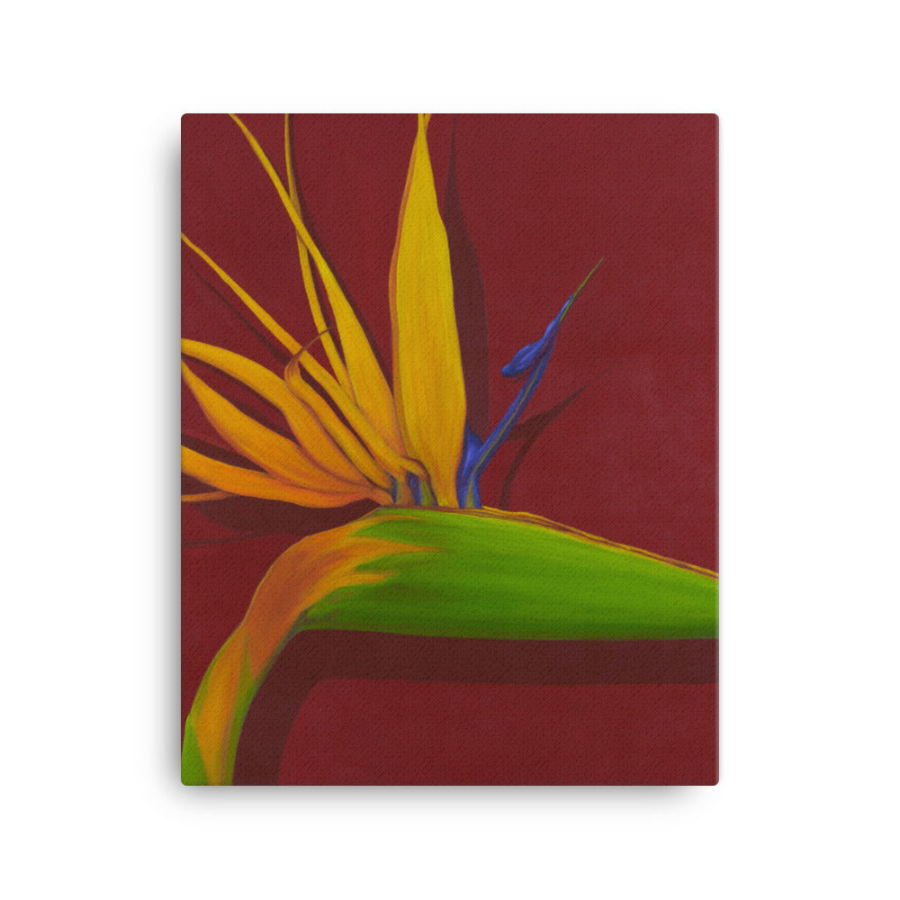 Canvas Art Print - Bird of Paradise on dark red