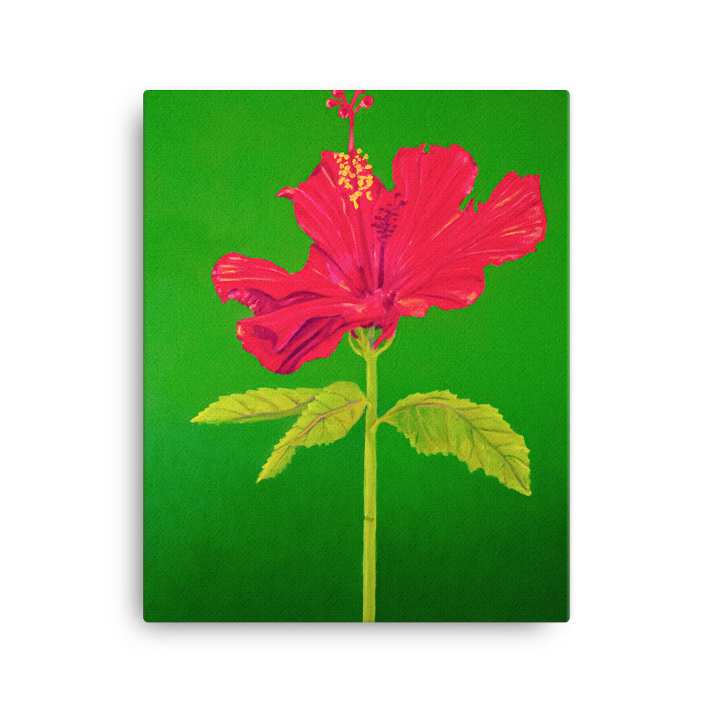 Canvas Art Print - Tall Hibiscus Rosa-sinensis