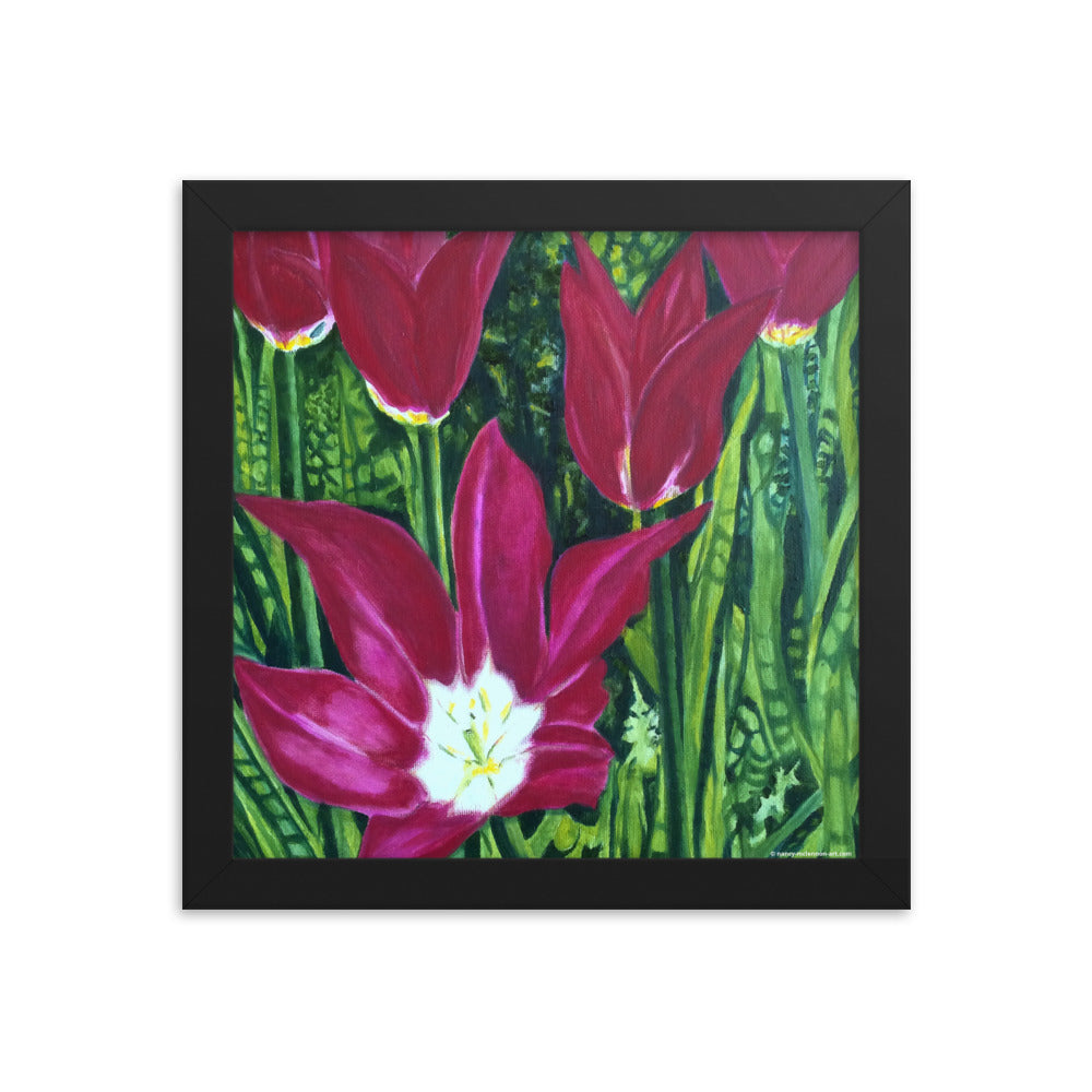 Framed Print - Magenta Tulips