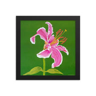 Framed print - Stargazer Lily 2