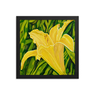Framed Print - Yellow Lily