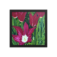 Framed Print - Magenta Tulips