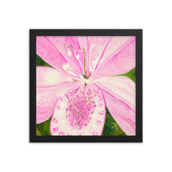 Framed Print - Light Pink Lily