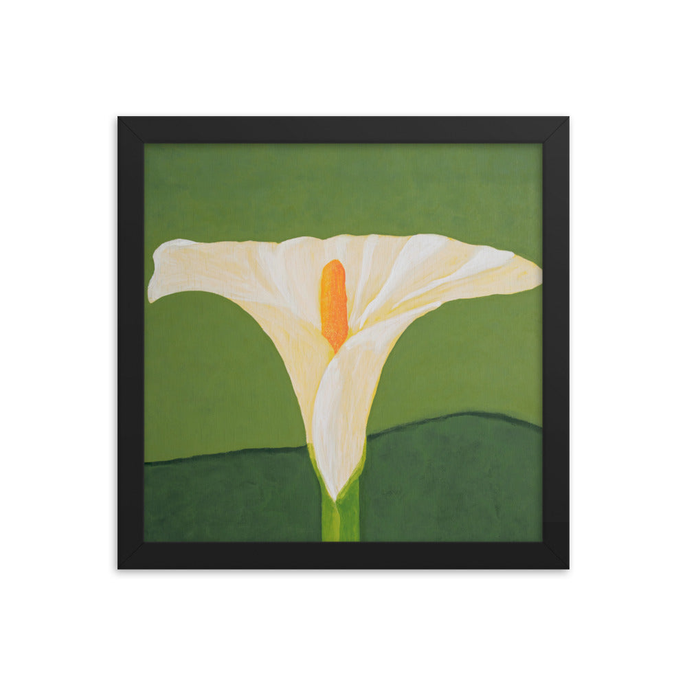 Framed Print - White calla lily on green