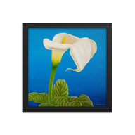 Framed print - White Calla lily on blue