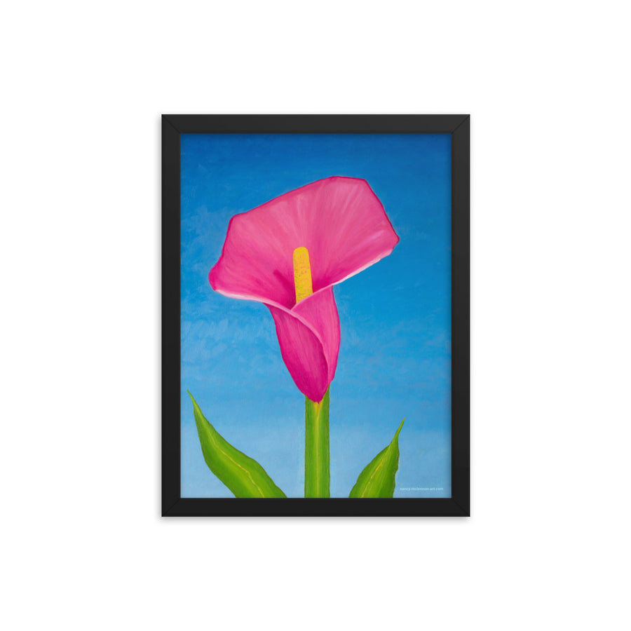 Framed Print - Rosy Pink Lily on blue