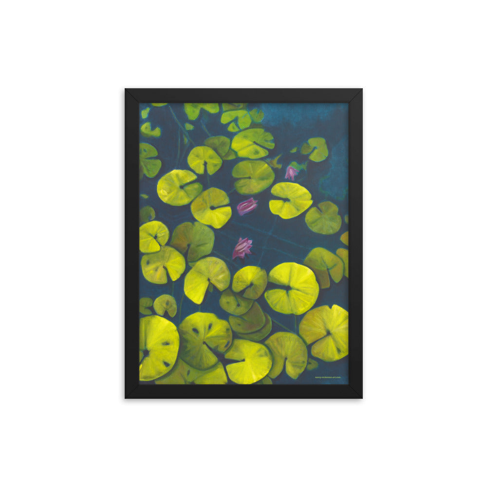 Framed Print - Waterlilies