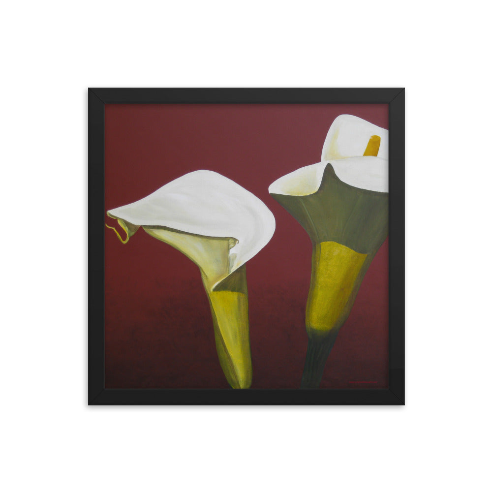 Framed Print - White Calla lilies on red