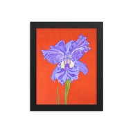 Framed print – Iris explosion on red