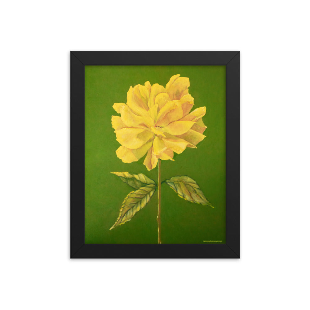 Framed print – Yellow Rose