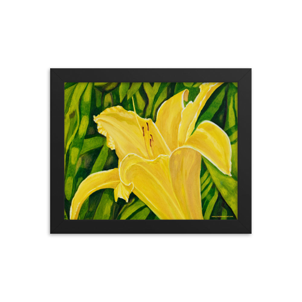 Framed Print - Yellow Lily