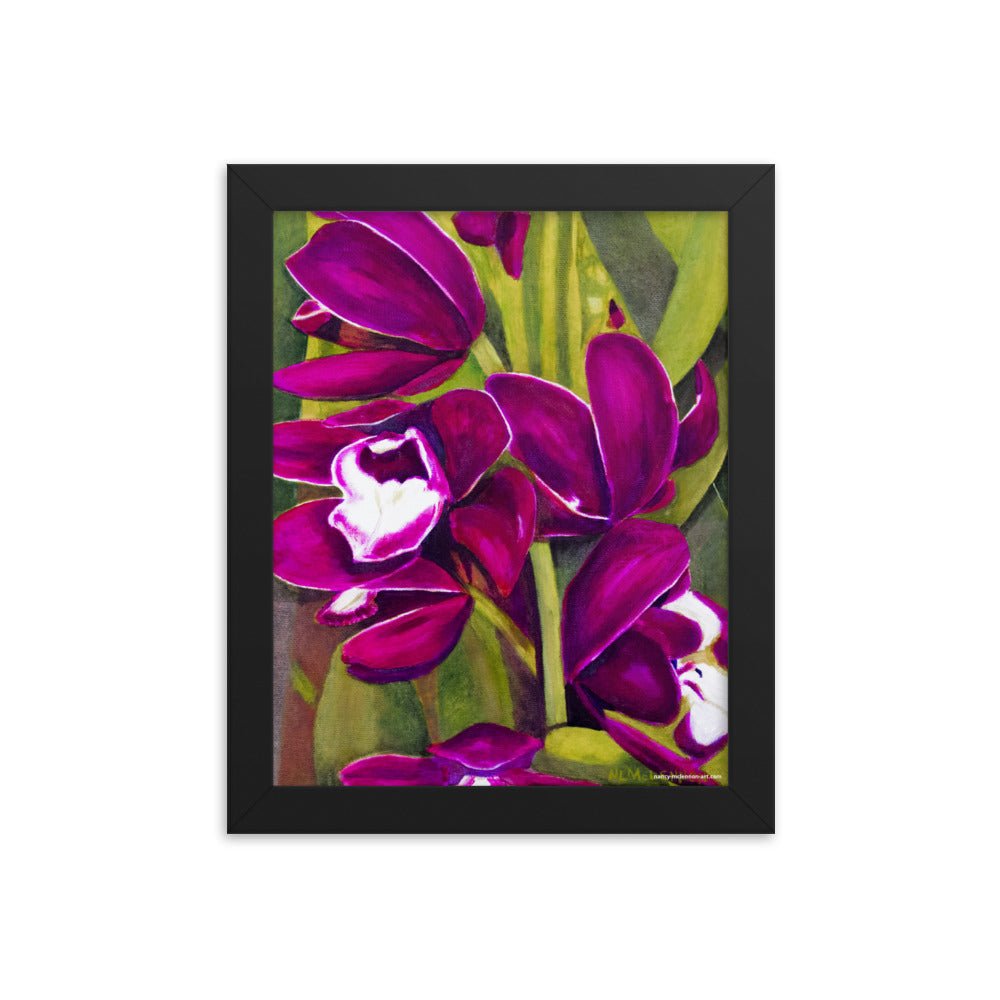 Framed Print - Dark Magenta Orchid