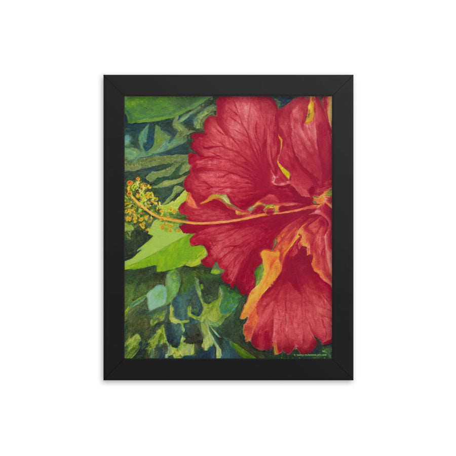 Framed Print - Deep Red Hibiscus