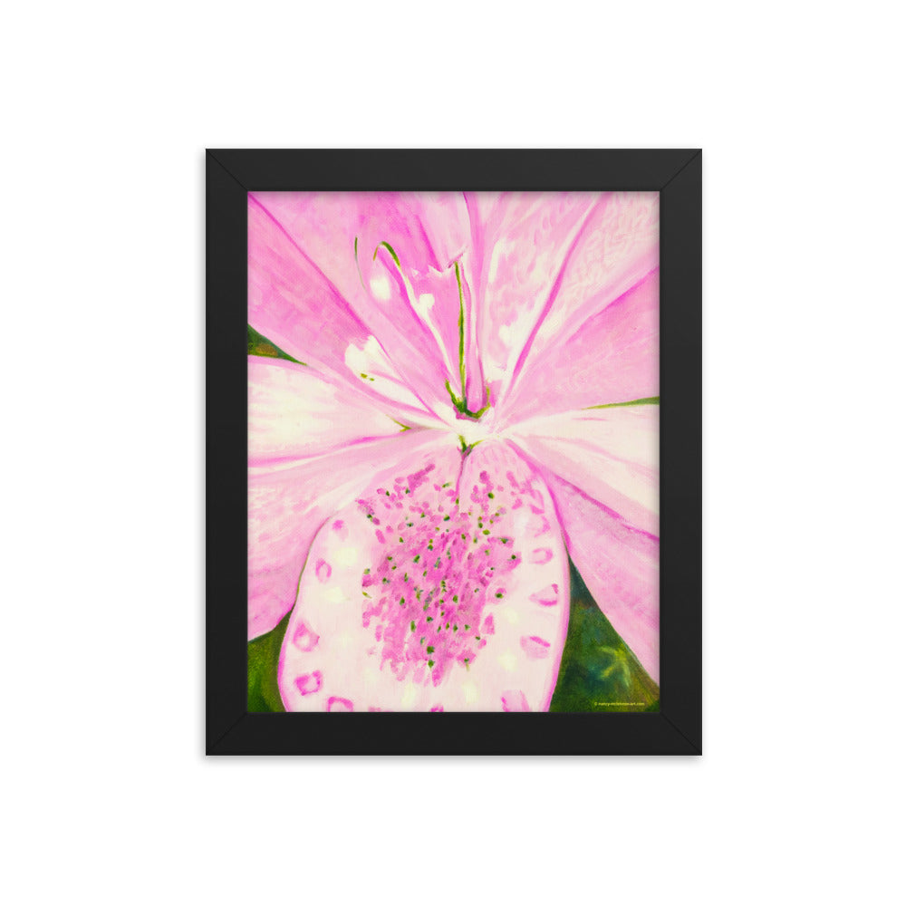Framed Print - Light Pink Lily